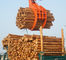 शक्तिशाली खुदाई पकड़ो अनुलग्नक हाइड्रोलिक इमारती लकड़ी को पकड़ो / उत्खनन लकड़ी हाथापाई आपूर्तिकर्ता